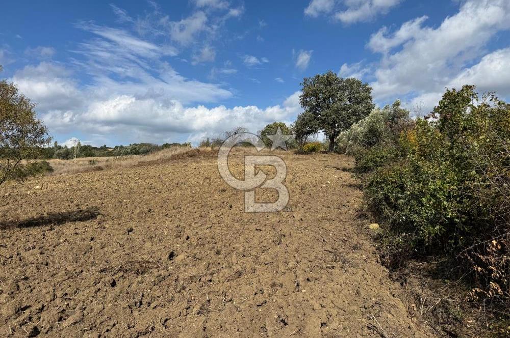 ÇANAKKALE GÖKKÖY'DE 42 DÖNÜM SULU ÖZEL ÜRÜN SINIFINDA EMSALSİZ TARLA 