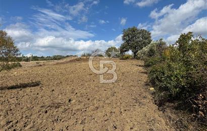 ÇANAKKALE GÖKKÖY'DE 42 DÖNÜM SULU ÖZEL ÜRÜN SINIFINDA EMSALSİZ TARLA 