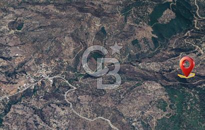 AYDIN ÇİNE'DE YOLA CEPHE 5512M2 SATILIK ZEYTİNLİK