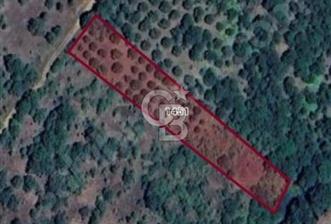 Çanakkale Biga Harmanlıda 2600 m² Satılık Tarla - 1 - 312468