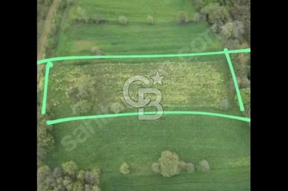 Çanakkale Biga Harmanlıda 2600 m² Satılık Tarla