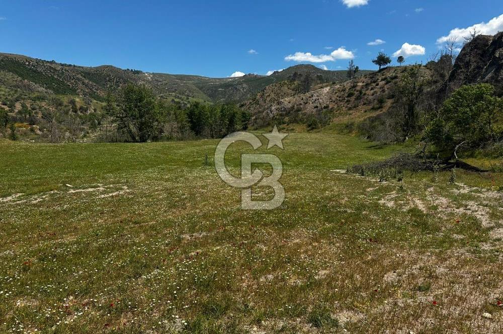 ÇANAKKALE KAYADERE KÖYÜ EMSALSİZ 9.333 M2 SATILIK TARLA