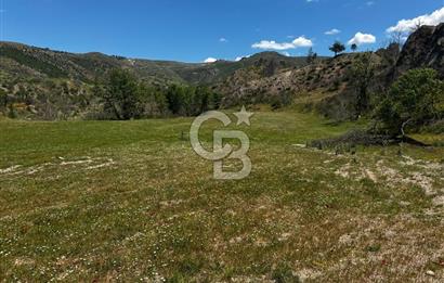 ÇANAKKALE KAYADERE KÖYÜ EMSALSİZ 9.333 M2 SATILIK TARLA