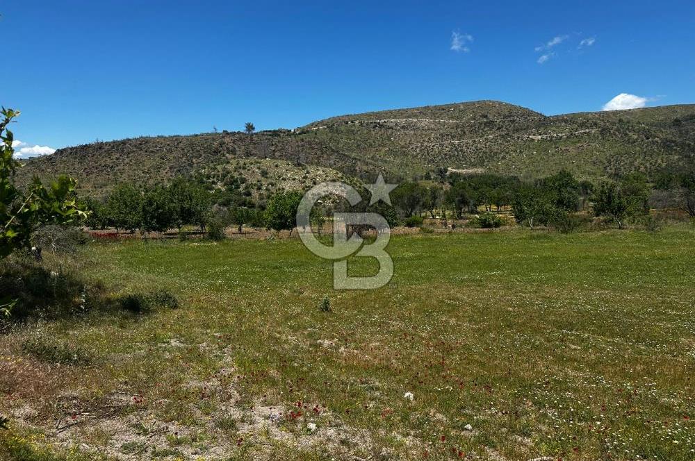 ÇANAKKALE KAYADERE KÖYÜ EMSALSİZ 9.333 M2 SATILIK TARLA