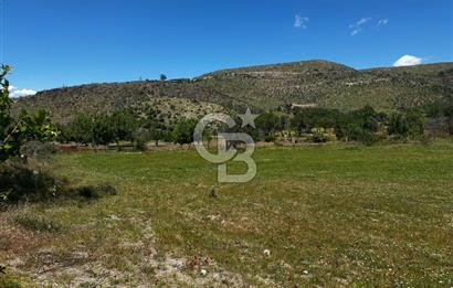 ÇANAKKALE KAYADERE KÖYÜ EMSALSİZ 9.333 M2 SATILIK TARLA