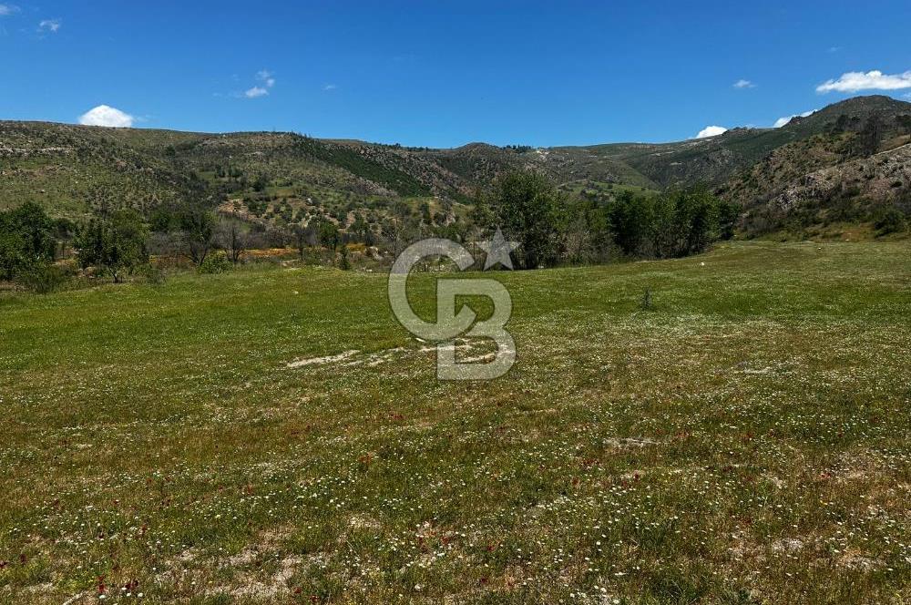 ÇANAKKALE KAYADERE KÖYÜ EMSALSİZ 9.333 M2 SATILIK TARLA
