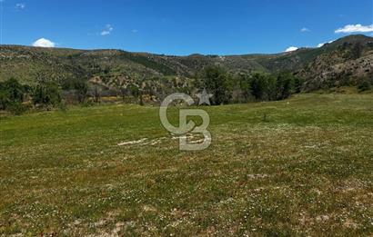ÇANAKKALE KAYADERE KÖYÜ EMSALSİZ 9.333 M2 SATILIK TARLA