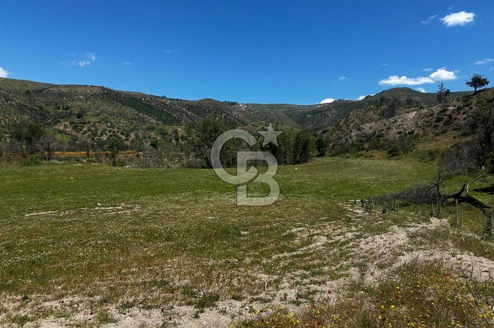ÇANAKKALE KAYADERE KÖYÜ EMSALSİZ 9.333 M2 SATILIK TARLA