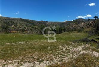 ÇANAKKALE KAYADERE KÖYÜ EMSALSİZ 9.333 M2 SATILIK TARLA - 6 - 312460