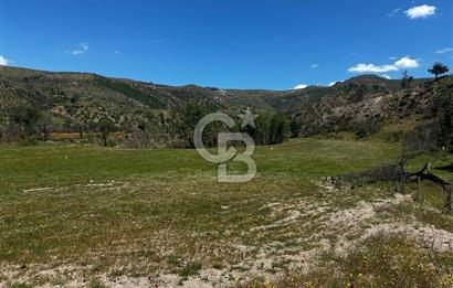 ÇANAKKALE KAYADERE KÖYÜ EMSALSİZ 9.333 M2 SATILIK TARLA