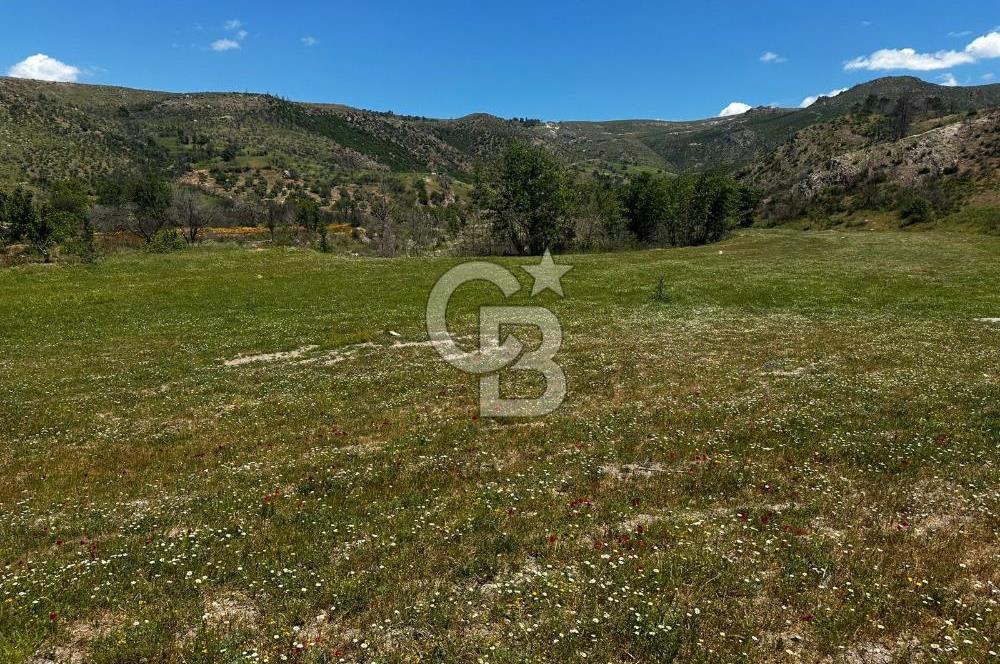 ÇANAKKALE KAYADERE KÖYÜ EMSALSİZ 9.333 M2 SATILIK TARLA