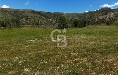 ÇANAKKALE KAYADERE KÖYÜ EMSALSİZ 9.333 M2 SATILIK TARLA