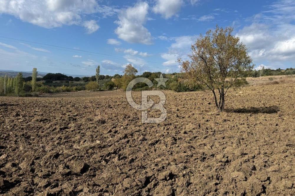 ÇANAKKALE GÖKKÖY'DE 42 DÖNÜM SULU ÖZEL ÜRÜN SINIFINDA EMSALSİZ TARLA 
