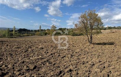 ÇANAKKALE GÖKKÖY'DE 42 DÖNÜM SULU ÖZEL ÜRÜN SINIFINDA EMSALSİZ TARLA 