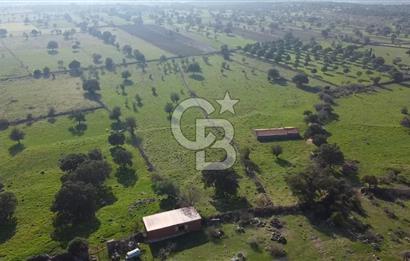 ÇANAKKALE AYVACIK KORUBAŞINDA UYGUN M2 FİYATLI AVANTAJLI SATILIK TARLA