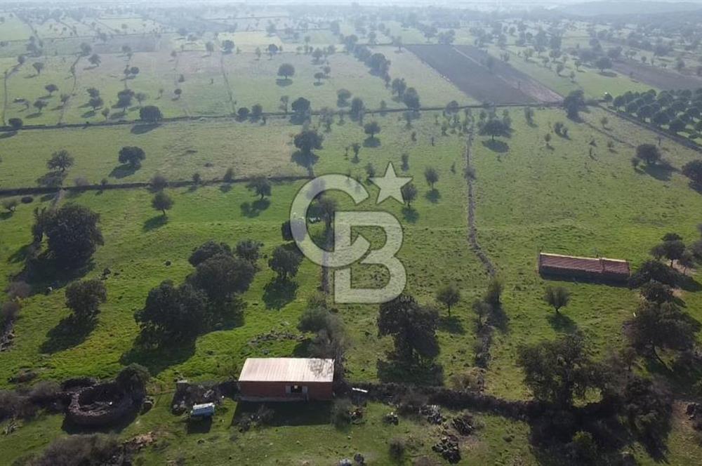 ÇANAKKALE AYVACIK KORUBAŞINDA UYGUN M2 FİYATLI AVANTAJLI SATILIK TARLA