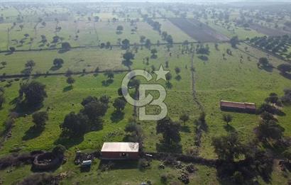 ÇANAKKALE AYVACIK KORUBAŞINDA UYGUN M2 FİYATLI AVANTAJLI SATILIK TARLA