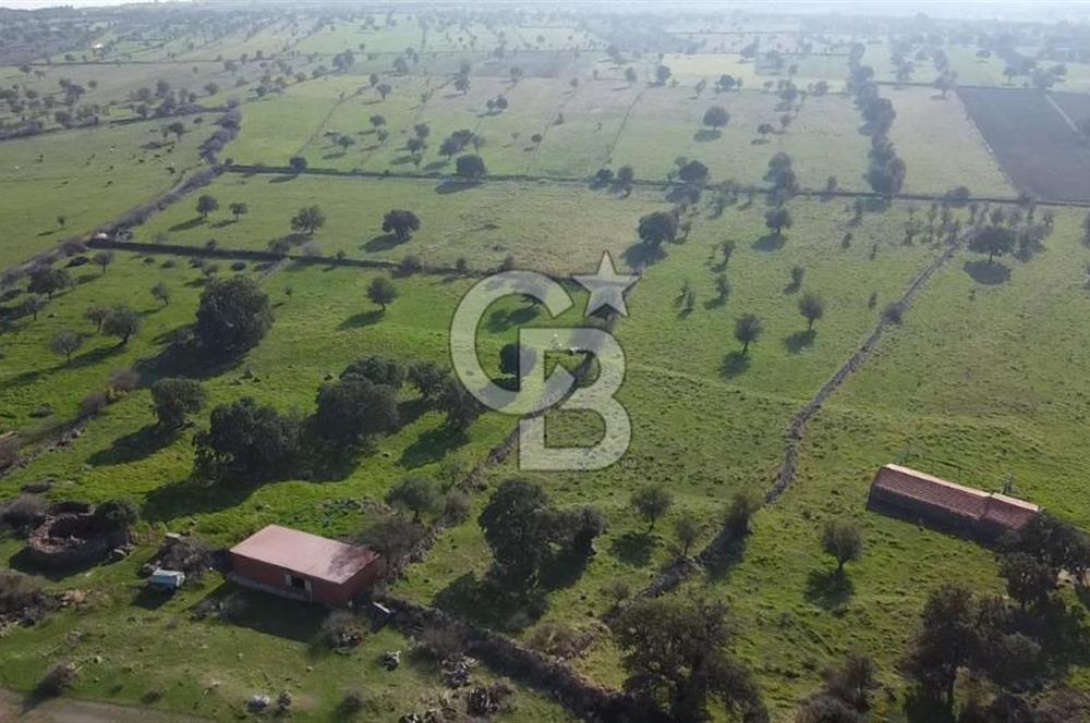 ÇANAKKALE AYVACIK KORUBAŞINDA UYGUN M2 FİYATLI AVANTAJLI SATILIK TARLA