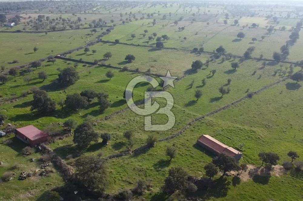 ÇANAKKALE AYVACIK KORUBAŞINDA UYGUN M2 FİYATLI AVANTAJLI SATILIK TARLA