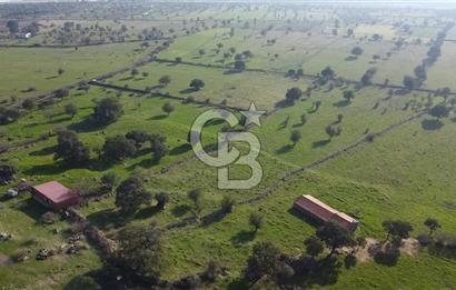 ÇANAKKALE AYVACIK KORUBAŞINDA UYGUN M2 FİYATLI AVANTAJLI SATILIK TARLA