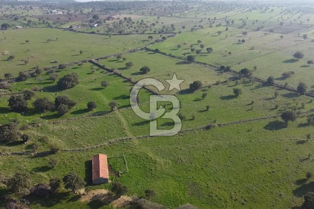 ÇANAKKALE AYVACIK KORUBAŞINDA UYGUN M2 FİYATLI AVANTAJLI SATILIK TARLA