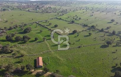 ÇANAKKALE AYVACIK KORUBAŞINDA UYGUN M2 FİYATLI AVANTAJLI SATILIK TARLA