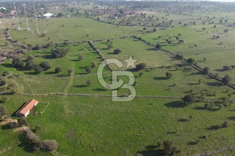 ÇANAKKALE AYVACIK KORUBAŞINDA UYGUN M2 FİYATLI AVANTAJLI SATILIK TARLA