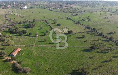 ÇANAKKALE AYVACIK KORUBAŞINDA UYGUN M2 FİYATLI AVANTAJLI SATILIK TARLA