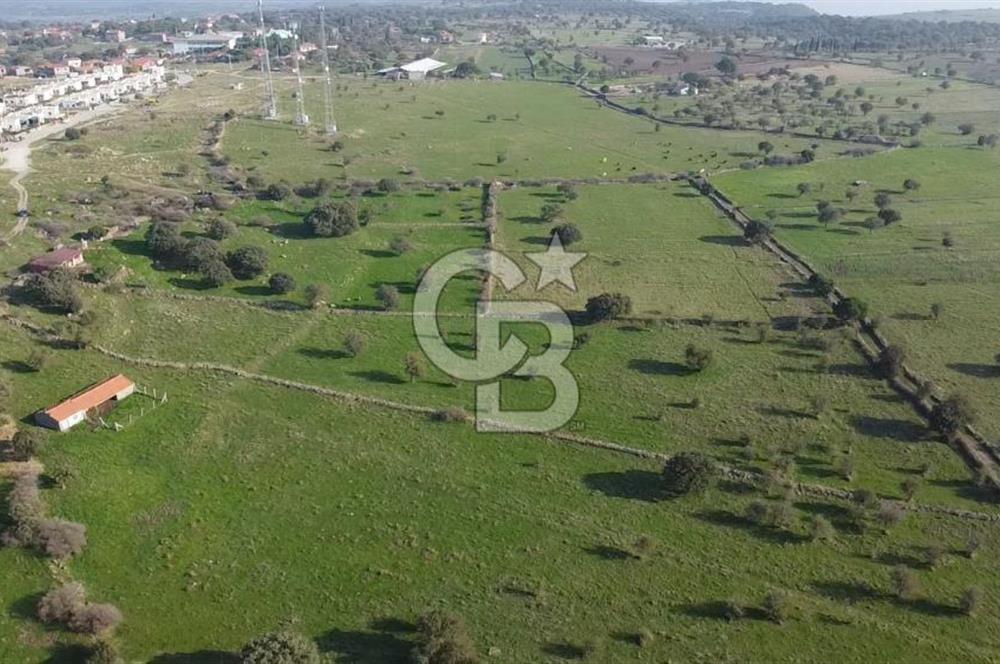 ÇANAKKALE AYVACIK KORUBAŞINDA UYGUN M2 FİYATLI AVANTAJLI SATILIK TARLA