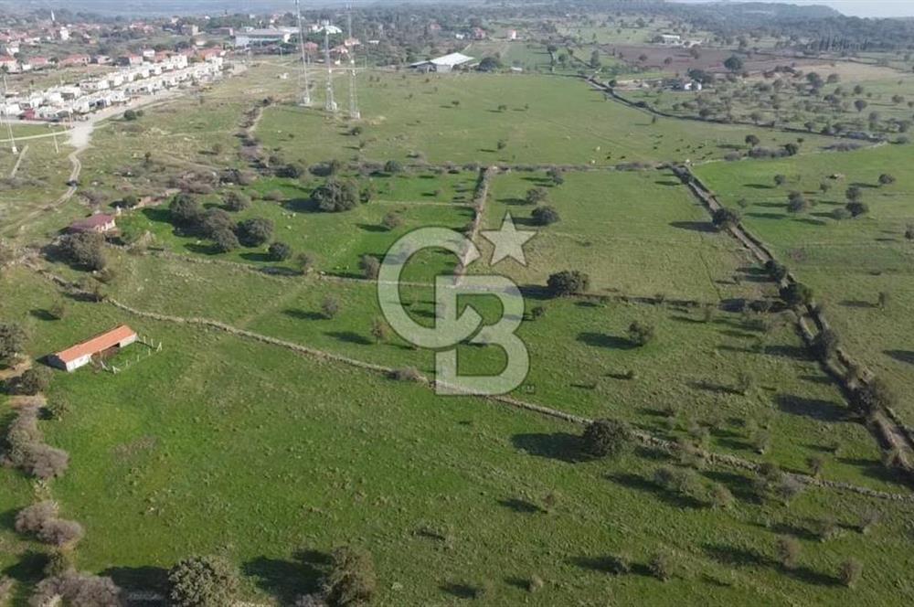 ÇANAKKALE AYVACIK KORUBAŞINDA UYGUN M2 FİYATLI AVANTAJLI SATILIK TARLA