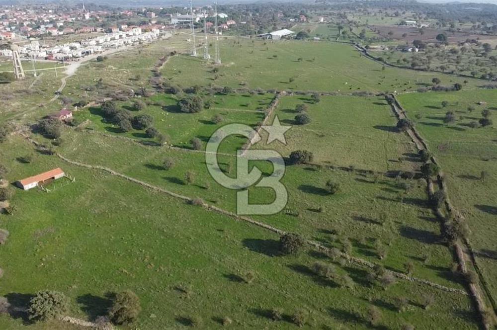 ÇANAKKALE AYVACIK KORUBAŞINDA UYGUN M2 FİYATLI AVANTAJLI SATILIK TARLA