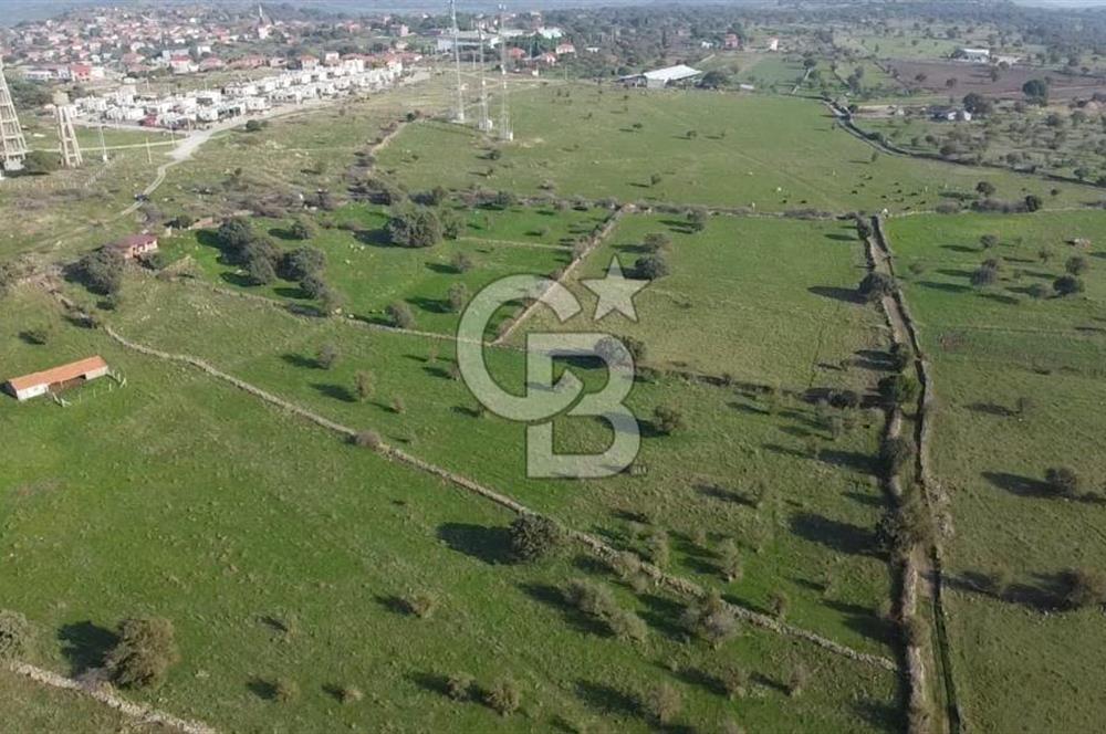 ÇANAKKALE AYVACIK KORUBAŞINDA UYGUN M2 FİYATLI AVANTAJLI SATILIK TARLA