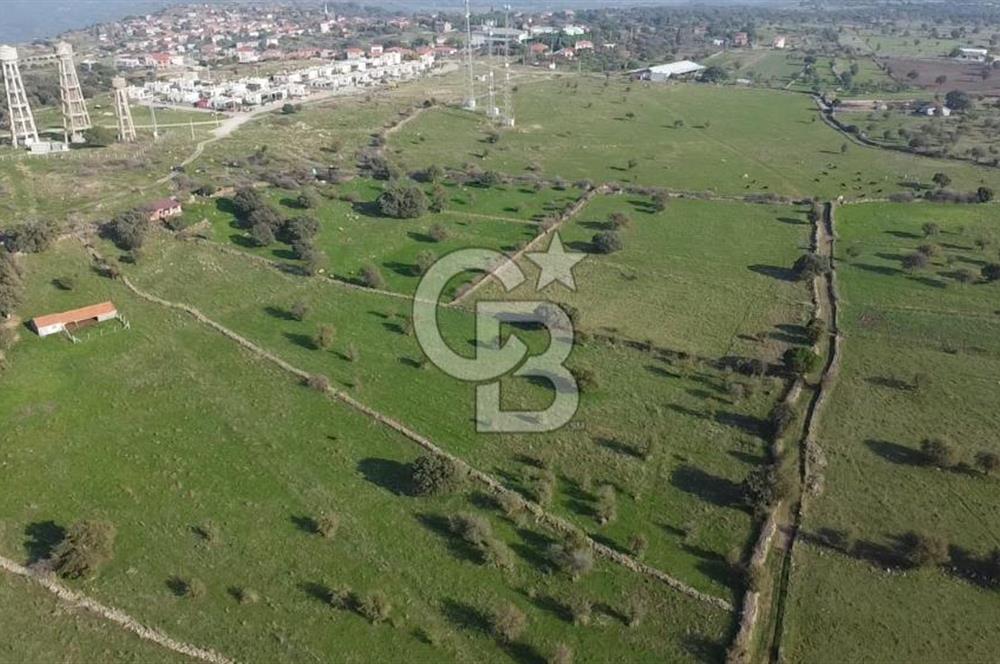 ÇANAKKALE AYVACIK KORUBAŞINDA UYGUN M2 FİYATLI AVANTAJLI SATILIK TARLA