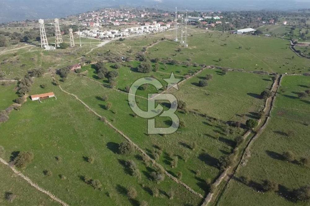 ÇANAKKALE AYVACIK KORUBAŞINDA UYGUN M2 FİYATLI AVANTAJLI SATILIK TARLA