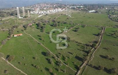 ÇANAKKALE AYVACIK KORUBAŞINDA UYGUN M2 FİYATLI AVANTAJLI SATILIK TARLA