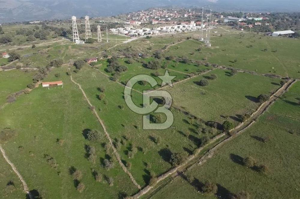 ÇANAKKALE AYVACIK KORUBAŞINDA UYGUN M2 FİYATLI AVANTAJLI SATILIK TARLA