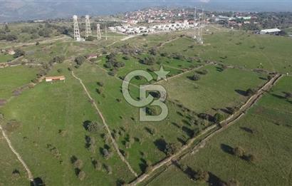 ÇANAKKALE AYVACIK KORUBAŞINDA UYGUN M2 FİYATLI AVANTAJLI SATILIK TARLA