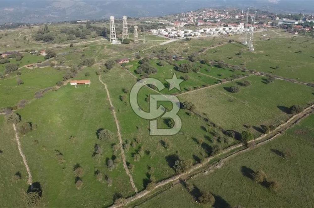 ÇANAKKALE AYVACIK KORUBAŞINDA UYGUN M2 FİYATLI AVANTAJLI SATILIK TARLA