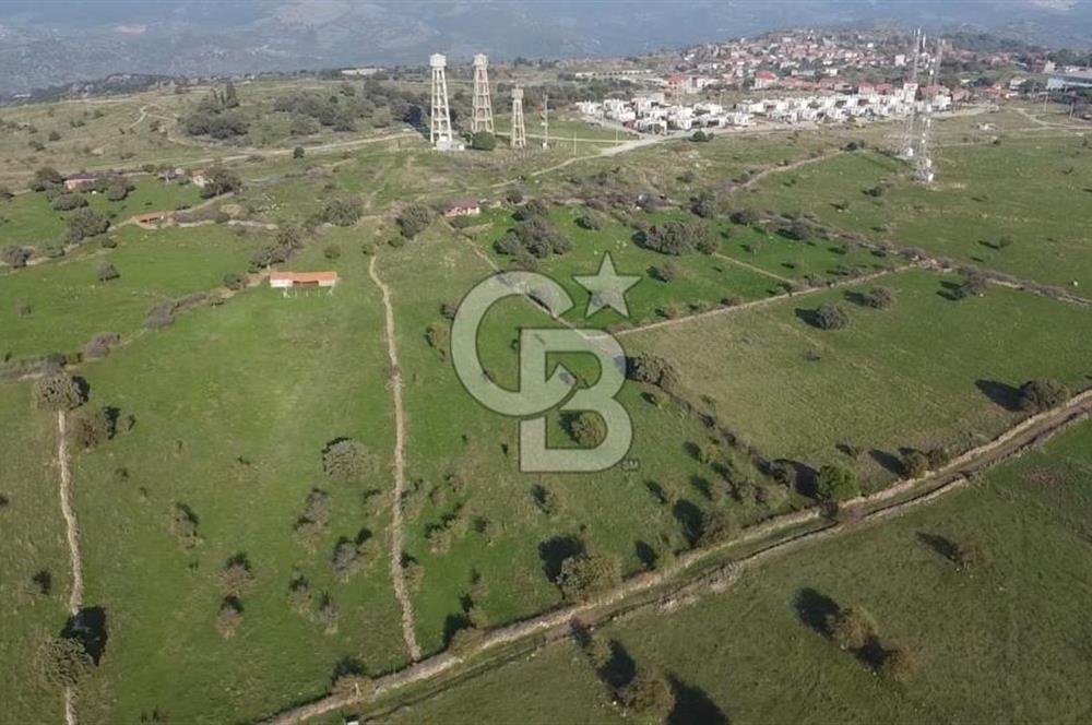 ÇANAKKALE AYVACIK KORUBAŞINDA UYGUN M2 FİYATLI AVANTAJLI SATILIK TARLA