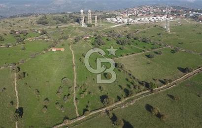 ÇANAKKALE AYVACIK KORUBAŞINDA UYGUN M2 FİYATLI AVANTAJLI SATILIK TARLA