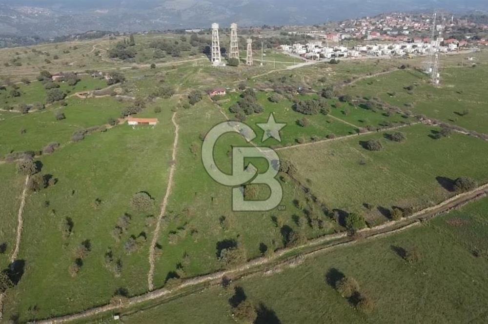 ÇANAKKALE AYVACIK KORUBAŞINDA UYGUN M2 FİYATLI AVANTAJLI SATILIK TARLA