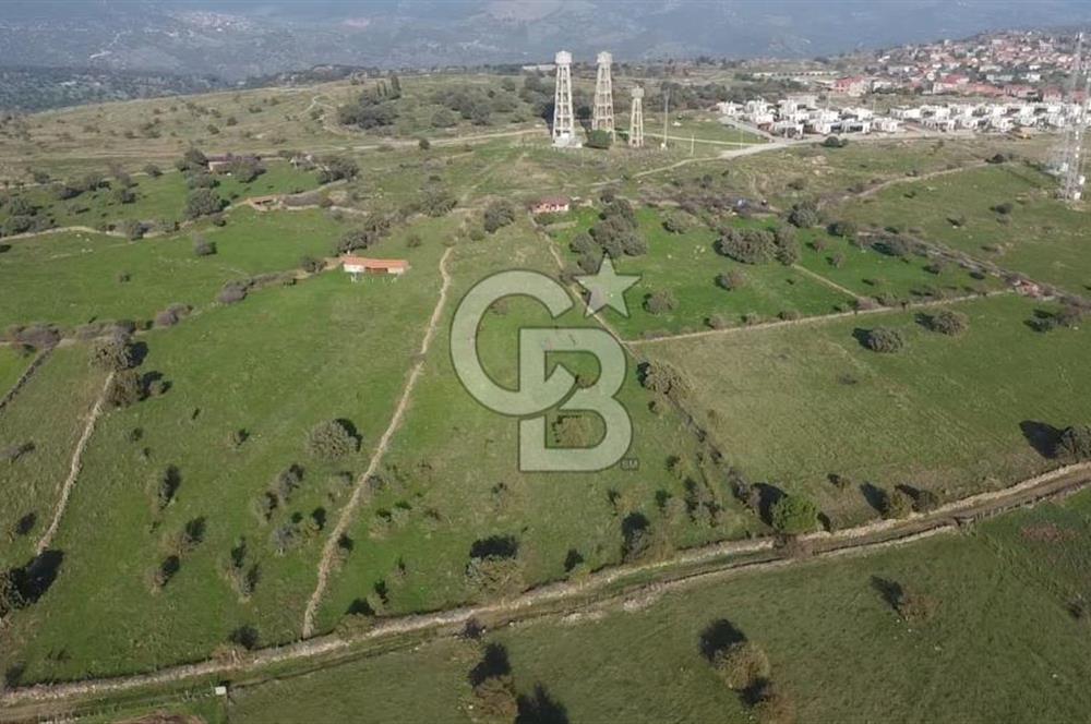 ÇANAKKALE AYVACIK KORUBAŞINDA UYGUN M2 FİYATLI AVANTAJLI SATILIK TARLA