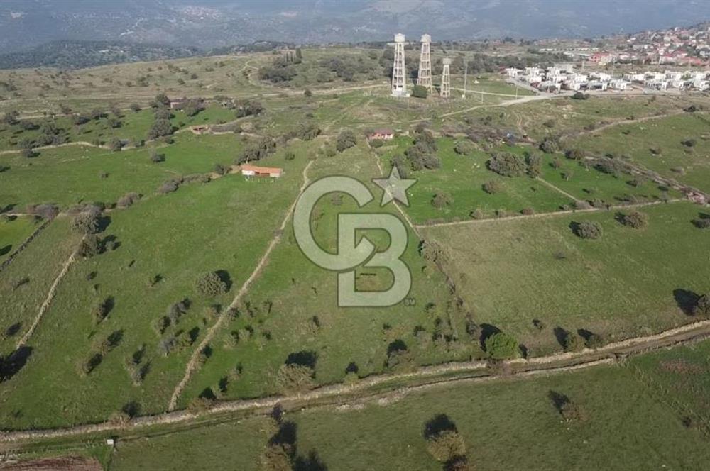 ÇANAKKALE AYVACIK KORUBAŞINDA UYGUN M2 FİYATLI AVANTAJLI SATILIK TARLA