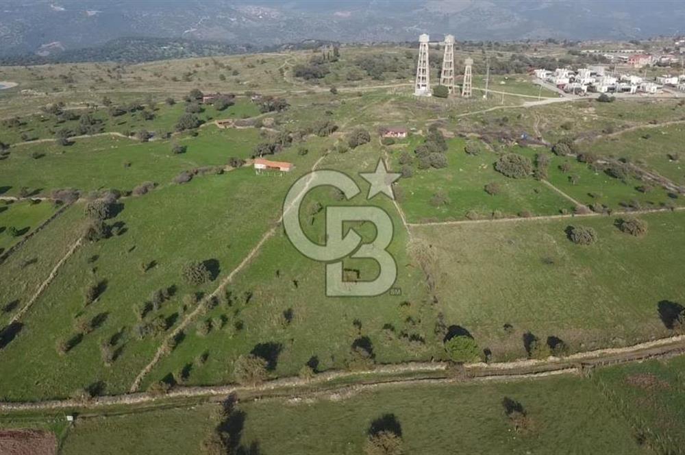 ÇANAKKALE AYVACIK KORUBAŞINDA UYGUN M2 FİYATLI AVANTAJLI SATILIK TARLA