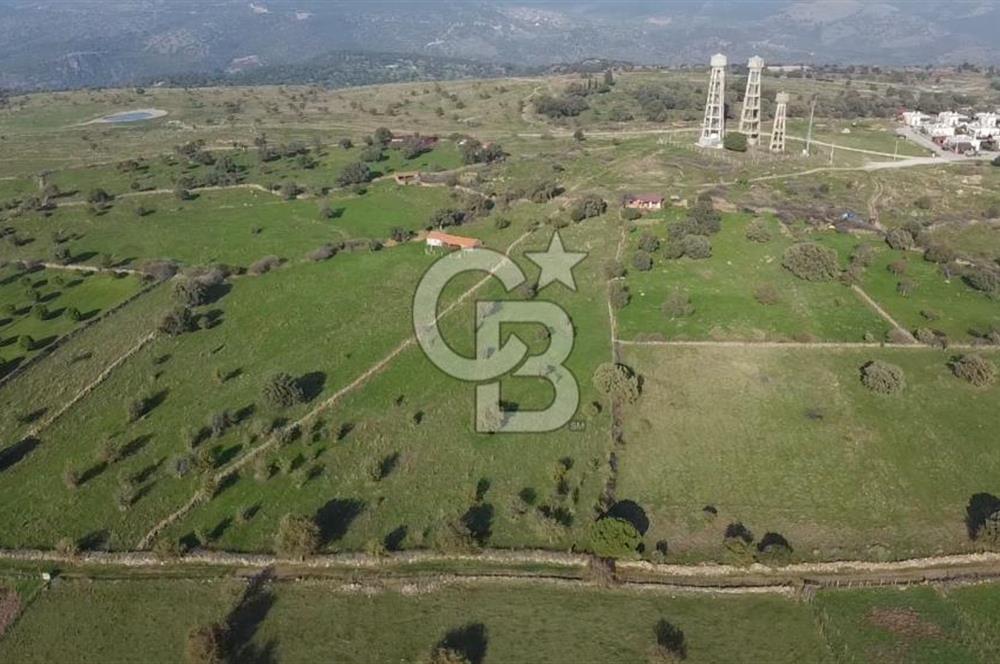 ÇANAKKALE AYVACIK KORUBAŞINDA UYGUN M2 FİYATLI AVANTAJLI SATILIK TARLA