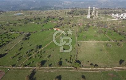 ÇANAKKALE AYVACIK KORUBAŞINDA UYGUN M2 FİYATLI AVANTAJLI SATILIK TARLA