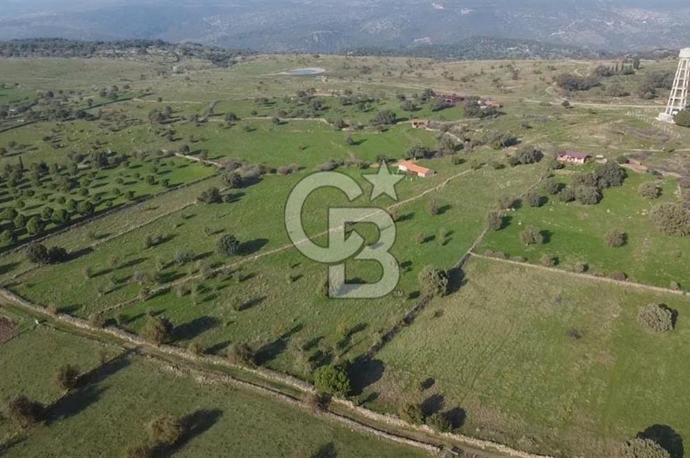 ÇANAKKALE AYVACIK KORUBAŞINDA UYGUN M2 FİYATLI AVANTAJLI SATILIK TARLA