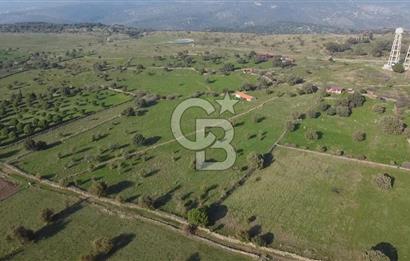 ÇANAKKALE AYVACIK KORUBAŞINDA UYGUN M2 FİYATLI AVANTAJLI SATILIK TARLA