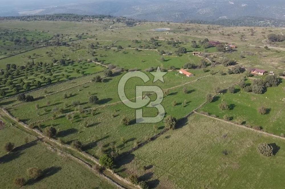 ÇANAKKALE AYVACIK KORUBAŞINDA UYGUN M2 FİYATLI AVANTAJLI SATILIK TARLA