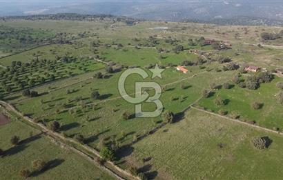 ÇANAKKALE AYVACIK KORUBAŞINDA UYGUN M2 FİYATLI AVANTAJLI SATILIK TARLA
